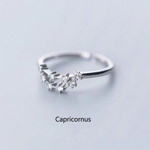 Sterling Silver Zodiac Resizable Ring-Capricorn
